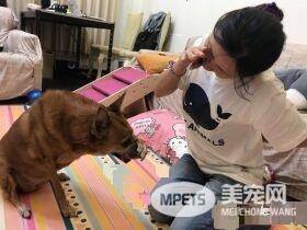 狗狗早起养被丢水沟边 被女子带回收留十年
