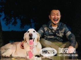 14岁爱犬患癌痛苦不已 主人将30公斤狗狗抱回家