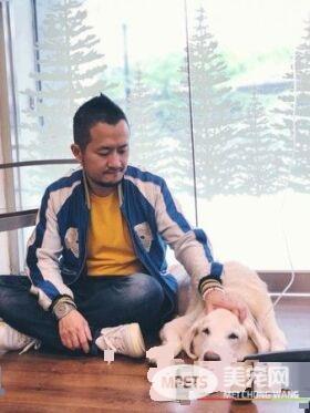 14岁爱犬患癌痛苦不已 主人将30公斤狗狗抱回家