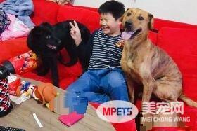 已经抱不动啦！时隔一年弟弟和狗狗长大了