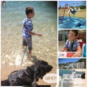 自闭症男孩的忠心服务犬 住院检查也要紧紧守候
