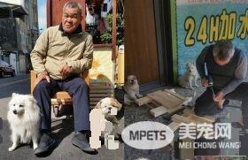 满嘴说讨厌狗的爸爸 如今却是最爱狗狗的