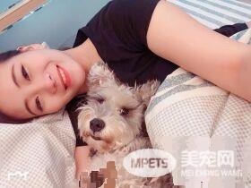 刚捡回来只能养在阳台 没想到狗狗融化妈妈的心