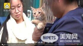 幸好救援计画大成功！猫咪被困管道深处幸得路人相救