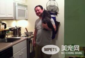 看得人都要融化啦！超会撒娇的喵星人