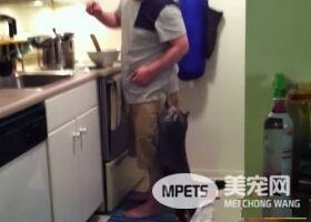 看得人都要融化啦！超会撒娇的喵星人