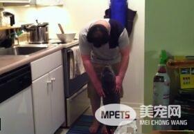 看得人都要融化啦！超会撒娇的喵星人