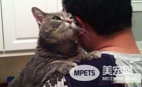 看得人都要融化啦！超会撒娇的喵星人