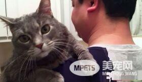 看得人都要融化啦！超会撒娇的喵星人