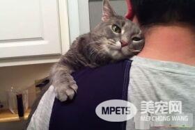 看得人都要融化啦！超会撒娇的喵星人