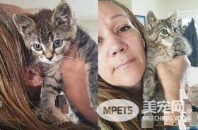 美国虎斑惨遭变态虐待 幸遇暖心车主被救起
