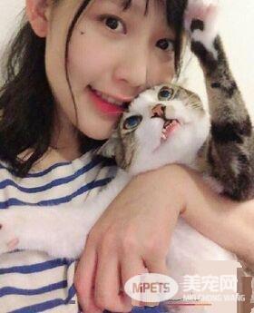 用爱卸下防心！浪猫历经10个多月才给摸抱