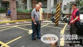 老人与狗 高龄老人不舍送高龄狗动保处