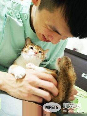 温暖！治愈犬和爱人猫的大家庭 有故事的一狗三猫
