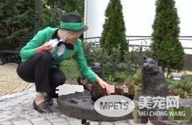 超梦幻职缺 负责照顾流浪猫的猫队长