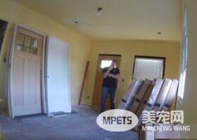 超可爱反差萌 魁梧大汉化身笨蛋猫奴