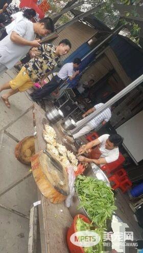 广西一金毛生10只小狗 主人高兴摆酒庆祝