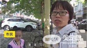 小猫躺车底下一动也不动 究竟是怎么回事？