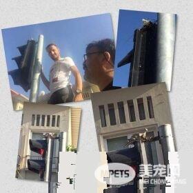 红绿灯鸟巢再次成为全国焦点 原因超暖心！