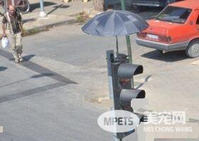 红绿灯鸟巢再次成为全国焦点 原因超暖心！