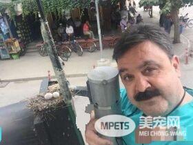 红绿灯鸟巢再次成为全国焦点 原因超暖心！