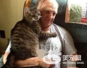 超爱把拔抱抱的猫咪 没有抱到会臭脸一整天