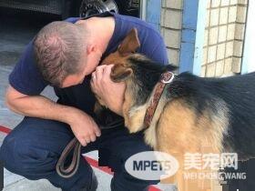 大火幸存的狼犬 被消防员收编后成为消防队一员