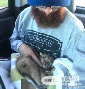 马修偶遇小猫竟是被丢弃的猞猁  举手之劳救猞猁命