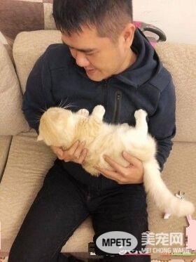 为了猫孙子们的健康 阿公戒21年烟瘾