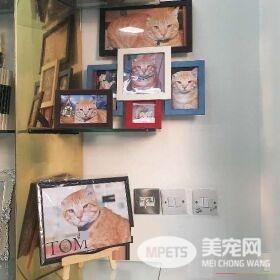 冲刷店的镇店之宝 当地的人气偶像原来是它