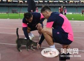 地主喵星人前来迎接兵工厂球员 超可爱互动被捕捉