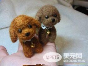 茶杯泰迪犬可以牵狗绳吗 最好不要牵狗绳