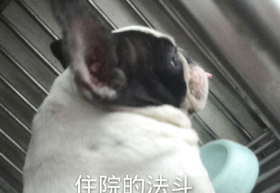 QQ截图20210817172320.png