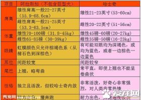 阿拉斯加和哈士奇区别 六个方向轻松辨别谁是二哈