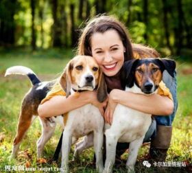 养宠物真的会造成温室效应!最好给宠物喂养低蛋白食物