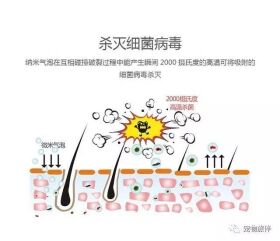 专业宠物SPA,远不止是“泡澡、按摩”那么简单