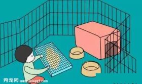 狗狗不会定点排便?那你应该这么训练