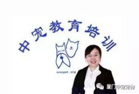 【宠物美容培训学校】厦门中宠师资力量