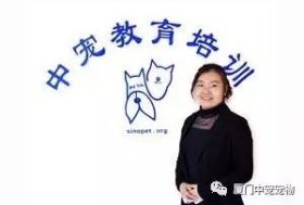 【宠物美容培训学校】厦门中宠师资力量