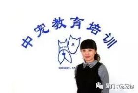 【宠物美容培训学校】厦门中宠师资力量