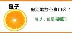 狗狗不能吃的那些水果,你都喂过吗?