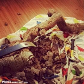 一枝树枝变成五星级猫架的制作过程