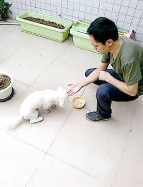 再让狗狗停留在原地等待
